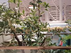 -花椒俏川菜小馆(南海万达店)