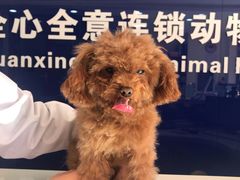 -全心全意连锁动物医院(石景山店)