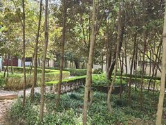 -上海佘山国家森林公园天马山园