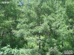 -白草畔自然风景区