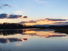 -塞罕坝国家级自然保护区