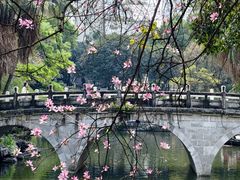 -柳侯公园