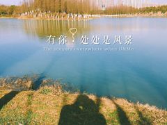 -艾溪湖湿地公园