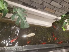 -川旺角川粤融合菜•海景餐厅(星海广场店)