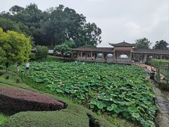 -广州莲花山旅游区