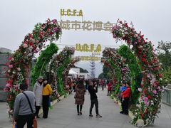 -重庆市江北嘴中央商务区中央公园