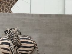 -水上乐园·欢乐世界