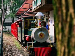 -上海共青森林公园