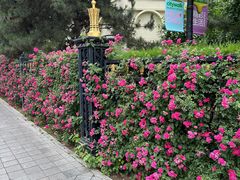 -北京展览馆