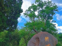-井塘古村