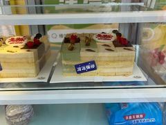 -维尔纳斯·生日蛋糕动物奶油冰淇淋蛋糕(人大店)