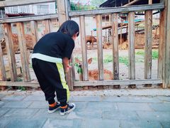 -北京鹿世界主题园