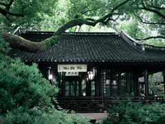 -上海醉白池公园