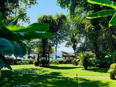 -卷心菜和避孕套餐厅(Pattaya)