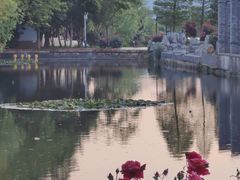 -庾园