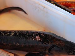 -江湖水乡铁锅炖魚(周庄嘉园店)