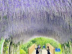 -同里国家湿地公园