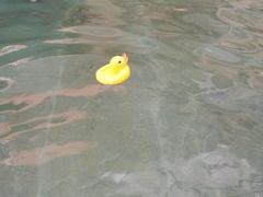 -贵御温泉