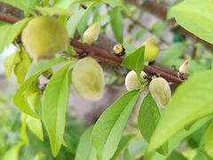 -晓琦农家菜馆·地道农家菜