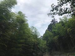 -泰州凤城河风景区-泰山公园