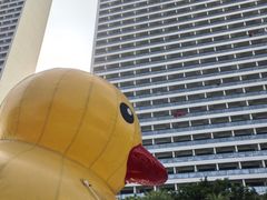 -檀悦都喜天丽度假酒店游泳池