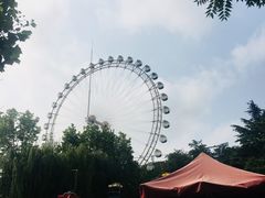 -富斯特索道