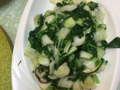 -丁老爷子苏香圆