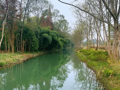 -桤木河湿地公园