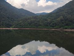 -广州市石门国家森林公园