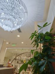 -爱睫物语·疗愈美睫美甲