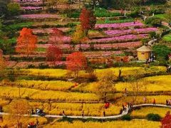 -塔川景区