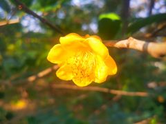 -华南国家植物园-售票处