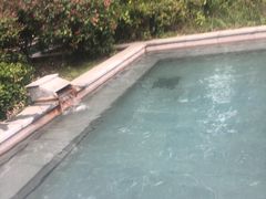 -咸宁万豪温泉谷度假区