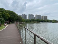 -南翔镇银翔湖公园