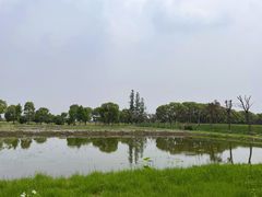 -嘉北郊野公园