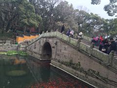 -普陀山风景名胜区-法雨禅寺