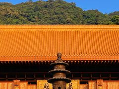 -深圳仙湖植物园