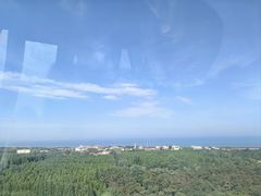 -日照海滨国家森林公园