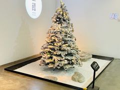 -上饍·中国厨房(建发JFC品尚中心店)