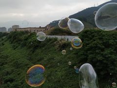 -羚羊峡古栈道森林公园