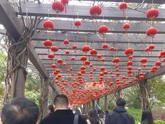 -白马涧龙池景区