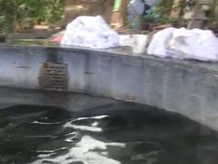 -青岛海泉湾度假区温泉