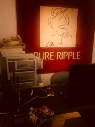 前台-净漪造型 PURE RIPPLE