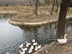 -东郊湿地公园