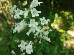 -上海吴淞炮台湾国家湿地公园