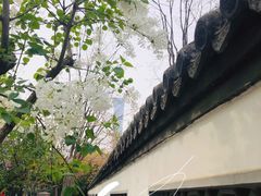 -团结湖公园
