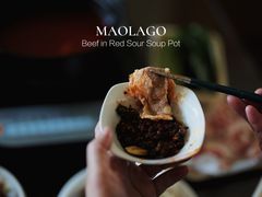 -毛辣果·酸(OHA复兴西路店)