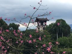 -清远熹乐谷温泉度假酒店