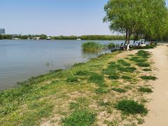 -大兴滨河森林公园