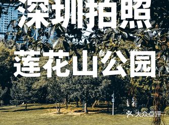 深圳周末拍照·去莲花山公园吸氧看城景